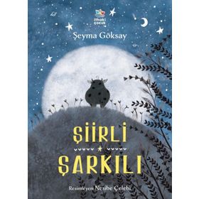Şiirli Şarkılı - Şeyma Göksay