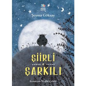 Şiirli Şarkılı - Şeyma Göksay