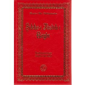 SIKKE-I TASDIK-I GAYBI (BÜYÜK BOY ŞAMUA VINLEKS CILTLI) - BEDIÜZZAMAN SAID NURSI