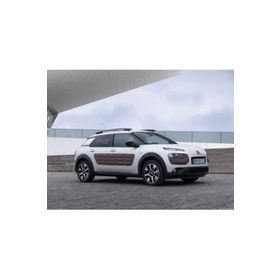 Silbak 65x43 cm Citroen C4 Cactus 2014-2020 Ön Cam Silecek Takımı