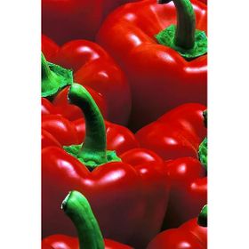 Silifke Market 1,5 kg Gün Kurusu El Yapımı Tatlı Biber Salçası