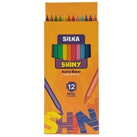 Silka 5790140 Shiny 12 Renk Kuru Boya