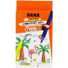Silka ART535 12 Renk Tam Boy Shiny Kuru Boya