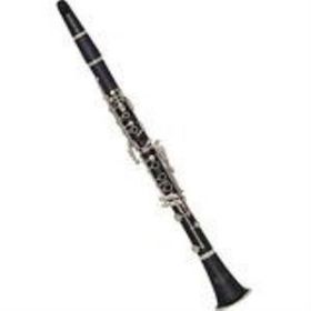 Silver SCL-02G Klarnet