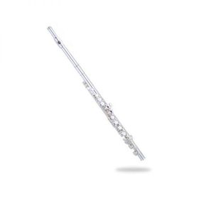 Silver SFL-290ES Yan Flüt