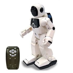 Silverlit 88429 Program A-Bot I-R