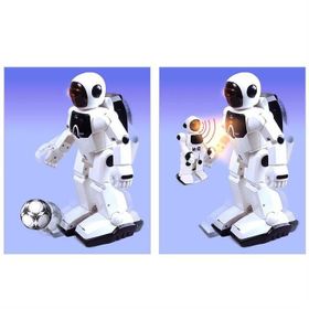 Silverlit 88429 Program A-Bot I-R