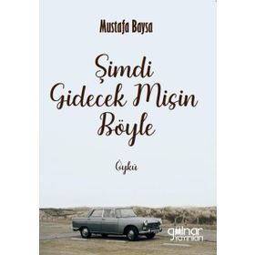 Şimdi Gidecek Misin Böyle Gülnar Yayınları