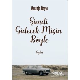 Şimdi Gidecek Misin Böyle Gülnar Yayınları