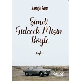 Şimdi Gidecek Misin Böyle Gülnar Yayınları
