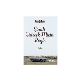 Şimdi Gidecek Misin Böyle Gülnar Yayınları