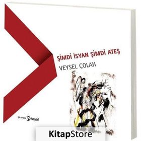 Şimdi İsyan Şimdi Ateş - Veysel Çolak