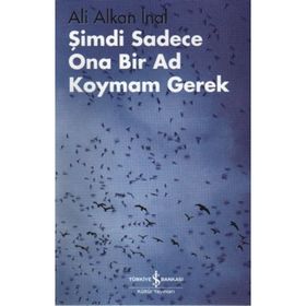 Şimdi Sadece Ona Bir Ad Koymam Gerek - Ali Alkan İnal