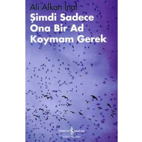 Şimdi Sadece Ona Bir Ad Koymam Gerek - Ali Alkan İnal