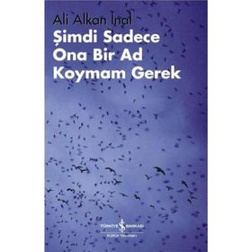 Şimdi Sadece Ona Bir Ad Koymam Gerek - Ali Alkan İnal