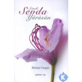 Şimdi Sevda Yürüsün - Bestami Yazgan