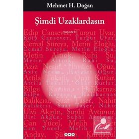 Şimdi Uzaklardasın - Mehmet H. Doğan
