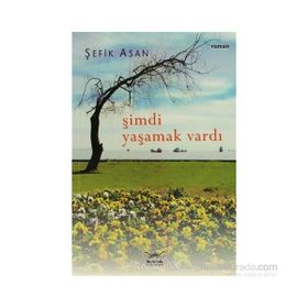 ŞIMDI YAŞAMAK VARDI - GENEL