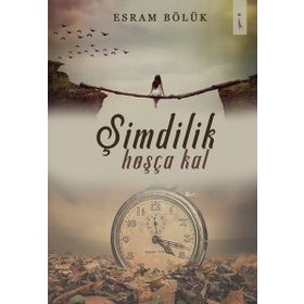 Şimdilik Hoşça Kal - Laurie Frankel