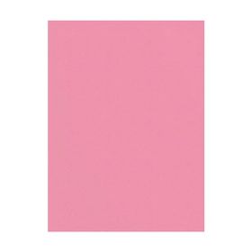 Sınar 100'lü 50x70 cm 120 gr Pembe Fon Kartonu