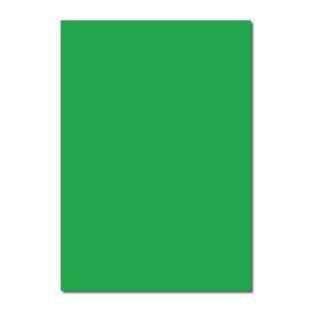 Sınar 230 Fosforlu Yeşil 50x70 120 gr Fon Kartonu