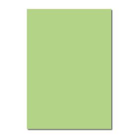 Sınar 41A Yeşil 50x70 120 gr Fon Kartonu