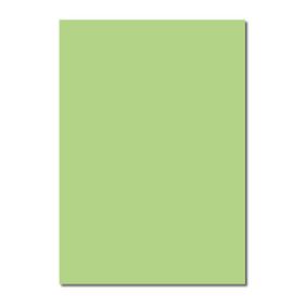 Sınar 41A Yeşil 50x70 120 gr Fon Kartonu