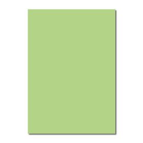 Sınar 41A Yeşil 50x70 120 gr Fon Kartonu