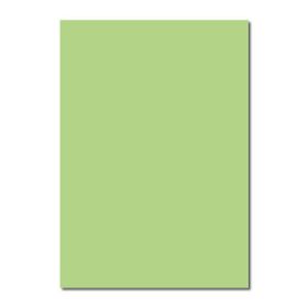 Sınar 41A Yeşil 50x70 120 gr Fon Kartonu