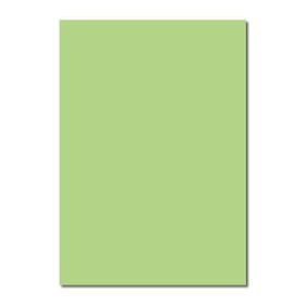 Sınar 41A Yeşil 50x70 120 gr Fon Kartonu
