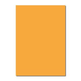 Sınar FK115 Canary 50x70 160 gr Fon Kartonu