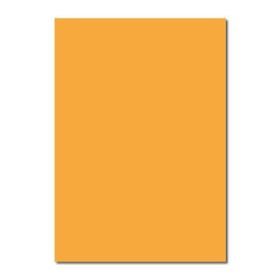 Sınar FK115 Canary 50x70 160 gr Fon Kartonu
