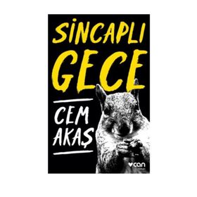 Sincaplı Gece - Cem Akaş