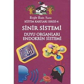 Sinir Sistemi, Duyu Organları, Endokrin Sistemi - Eğitim Kartları Serisi 4 - kollektif