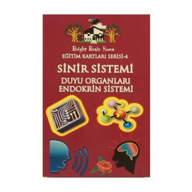 Sinir Sistemi, Duyu Organları, Endokrin Sistemi - Eğitim Kartları Serisi 4 - kollektif