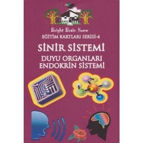 Sinir Sistemi, Duyu Organları, Endokrin Sistemi - Eğitim Kartları Serisi 4 - kollektif