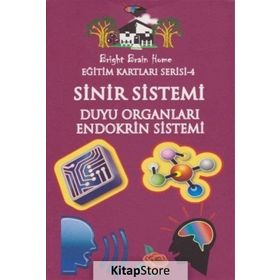 Sinir Sistemi, Duyu Organları, Endokrin Sistemi - Eğitim Kartları Serisi 4 - kollektif