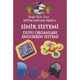 Sinir Sistemi, Duyu Organları, Endokrin Sistemi - Eğitim Kartları Serisi 4 - kollektif