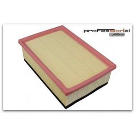 Sıon P307 Dw10ated 2,0hdı P206 P307 C4 Vts Ew10j4s sungerlı Hava Filtresi