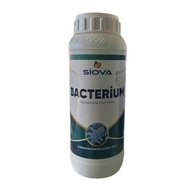 Siova Bacterium 1 lt Mikrobiyal Gübre