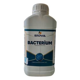Siova Bacterium 5 lt Mikrobiyal Gübre