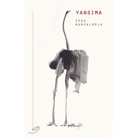 Şira Yayınları Yansıma