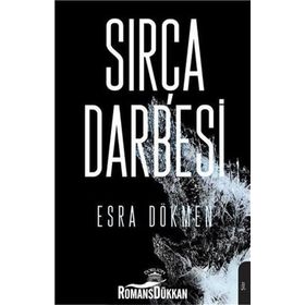 Sırça Darbesi - Esra Özlem Dökmen