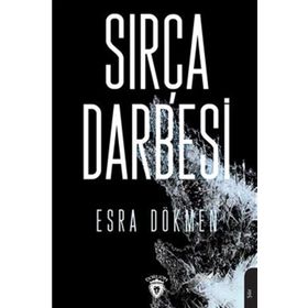 Sırça Darbesi - Esra Özlem Dökmen