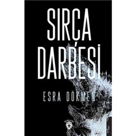 Sırça Darbesi - Esra Özlem Dökmen