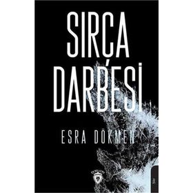 Sırça Darbesi - Esra Özlem Dökmen