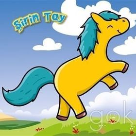 Şirin Tay - Ömer Canbir