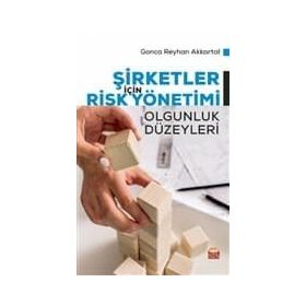 Şirketler İçin Risk Yönetimi - Gonca Reyhan