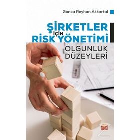 Şirketler İçin Risk Yönetimi - Gonca Reyhan