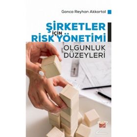 Şirketler İçin Risk Yönetimi - Gonca Reyhan
